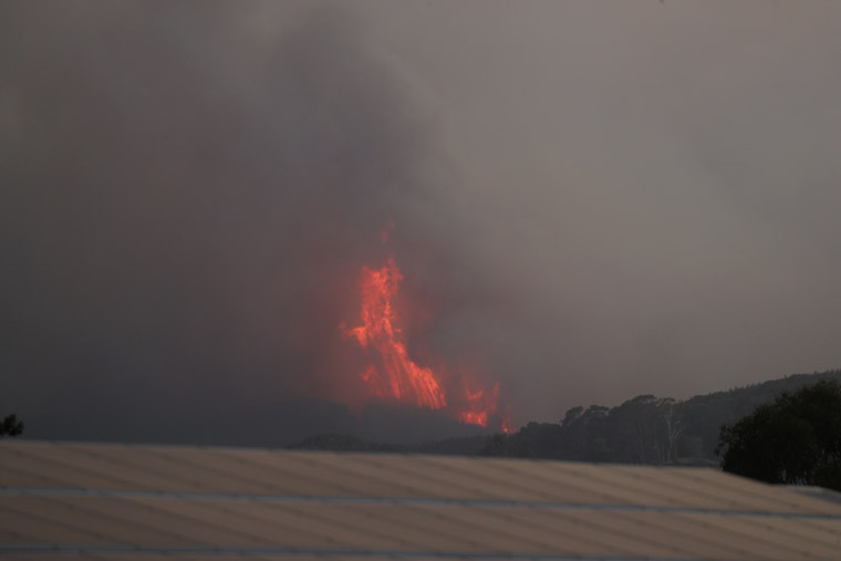 The devastating bushfires in Australia prompted News Corp Australia to become active in raising funds for those affected.
