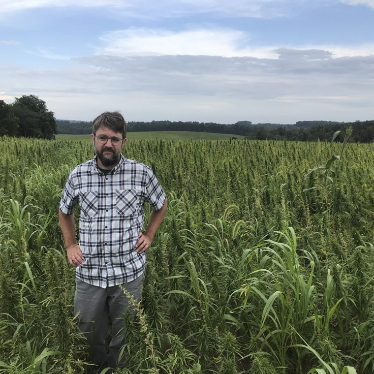 Hemp's versatility as a raw material for manufacturing and its ability to sequester carbon makes it a valuable commodity for the future.