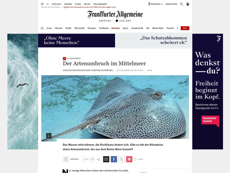 Real-time marketing allows for ads that are precisely tailored to the editorial environment and pick up on the topic of the article.