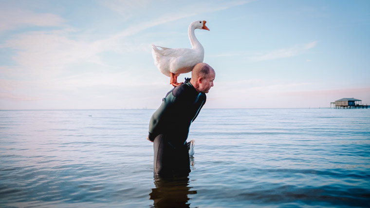 “The lessons that a goose has taught me about creating a connection with nature and with life transcends into my relationships with people and how not to take that for granted.” — Tracy Wilhelm (Red Clay Media)