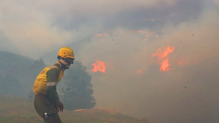 As fires spread across Cape Town, News24 journalists rushed to the firebreak alongside firefighters.