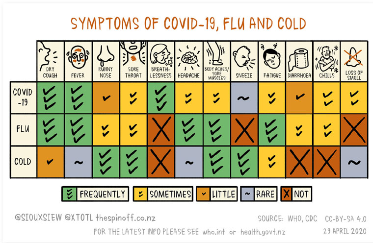 The Spinoff's illustration showing the difference in symptoms between COVID-19 and the cold and flu was translated into seven languages and used by businesses, schools, and in public spaces.