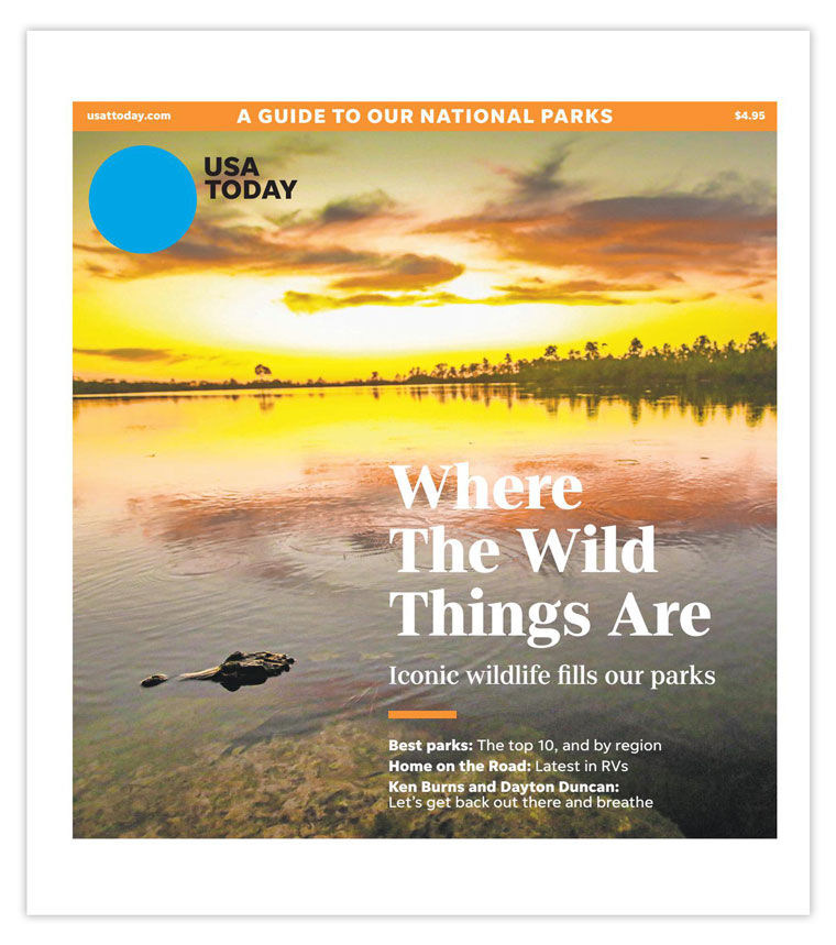 The e-Editions have been so popular Gannett has increased the number of titles it is offering.