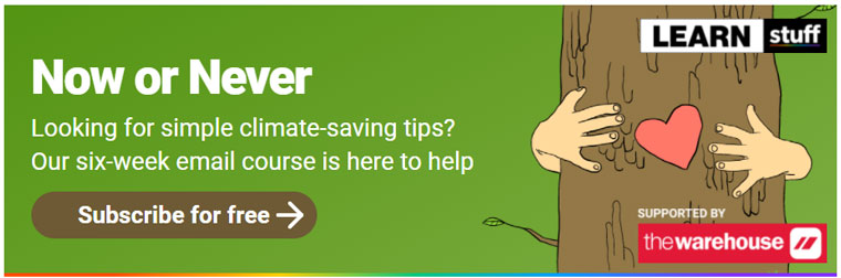 Now or Never is Stuff's newest initiative to help subscribers reduce their carbon footprint and create lasting change.