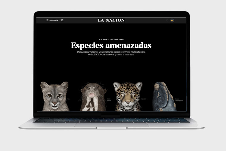 The stories appeared on La Nacion’s Web site, the cover page of the print edition, YouTube, and were adapted for social media. 
