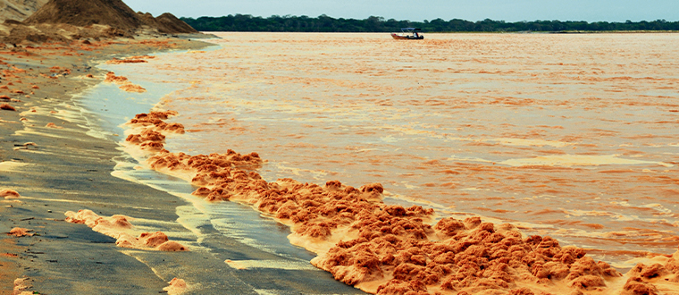 Sand on the beaches in Espírito Santo was overtaken by mud. Photo by Fernando Madeira 