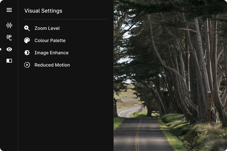 Users with special visual needs can tweak the visual settings online.