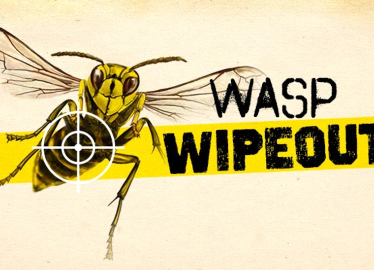 Now in its fourth year, the Wasp Wipeout campaign has been effective in helping solve a significant issue in New Zealand.