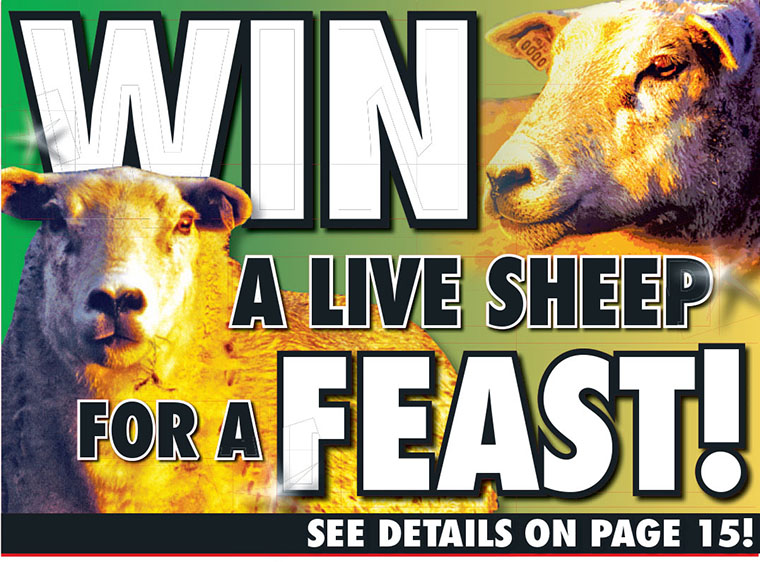 The Daily Sun's contest offering readers a sheep for their holiday feast was well received by the local community.