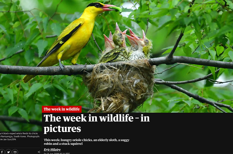 The Guardian’s new subscription model was built around customer relationships and the idea that readers will make voluntary financial contributions for relevant, meaningful content.