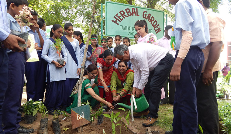 Dainik Bhaskar readers who planted and raised saplings connected with their young trees and began to see them as members of the family.