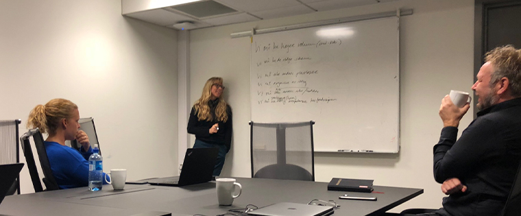 Editorial coach Stine Holberg Dahl working with editors at an Amedia newspaper. (Photo: Jostein Larsen Østring)
