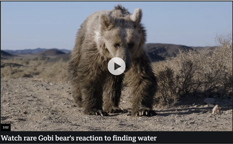 Screenshot from the BBC site.