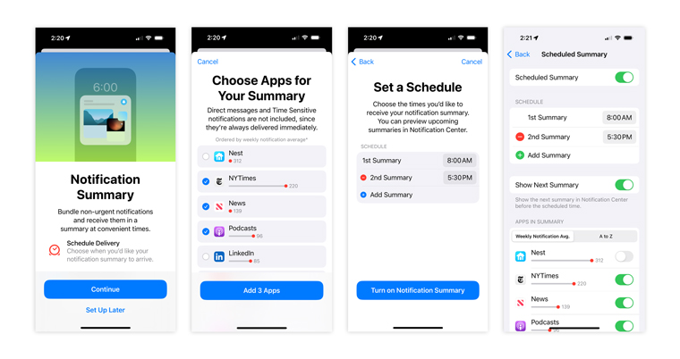 The Apple summary set-up is user-friendly.
