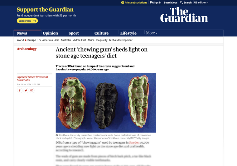 Article pages like this one in The Guardian often have elements outside of written text, so perhaps it's time news media companies acknowledge that.