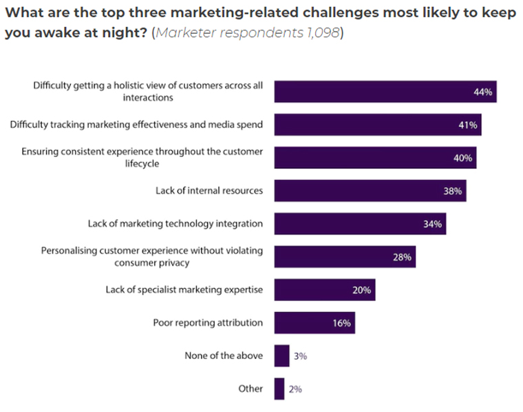Marketing professionals say they struggle with getting a holistic understanding of their customers.