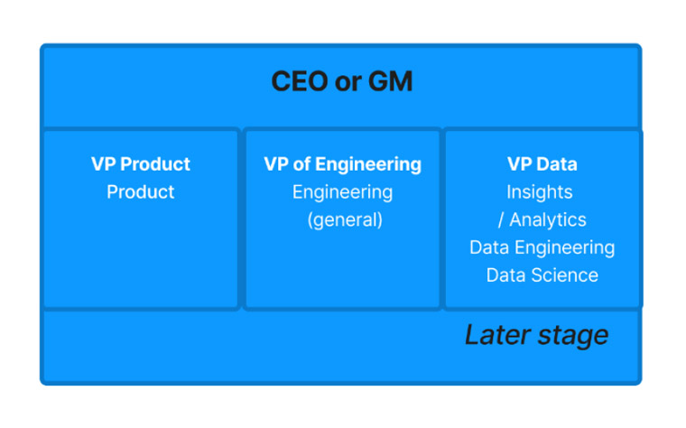 Another organisational model had data running its own show.