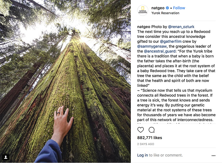National Geographic is one of the most successful brands on Instagram, in part because its posts have a common theme.