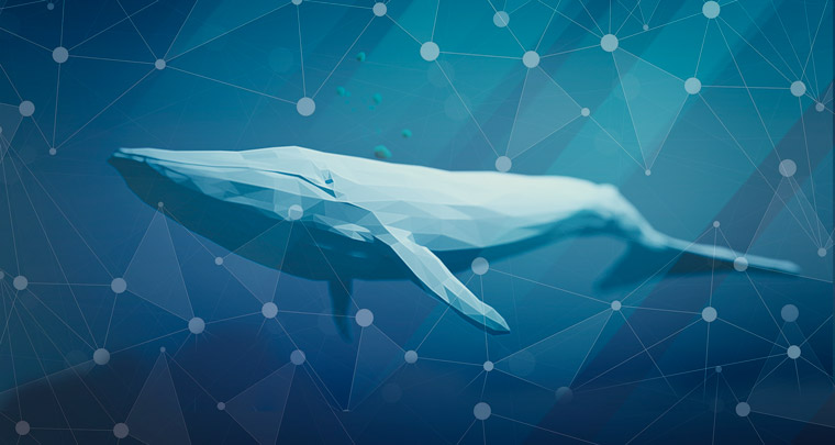 Premium subscribers, or "whales," bring in a huge portion of revenue, but the value needs to be apparent. Image courtesy of Денис Марчук and Torulus from Pixabay.