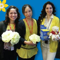 Canadian Cancer Society Daffodil Campaign