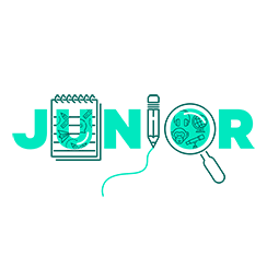 BT Junior