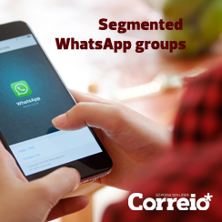 Segmented WhatsApp groups