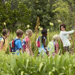 Toronto Star Field Trip Guide for Teachers