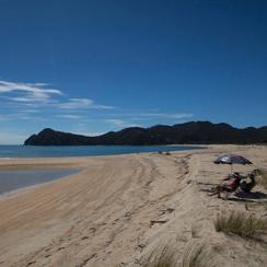 #buythisbeachnz