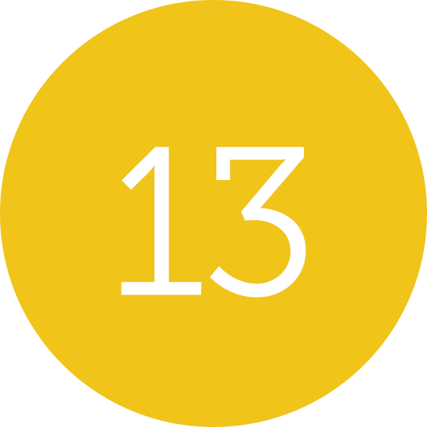13 Companies