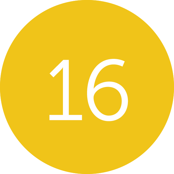 16 Companies